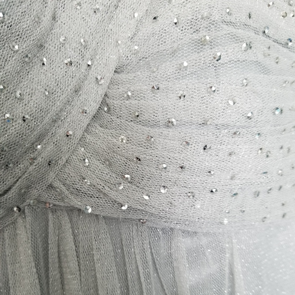 BCBG silver strapless long dress